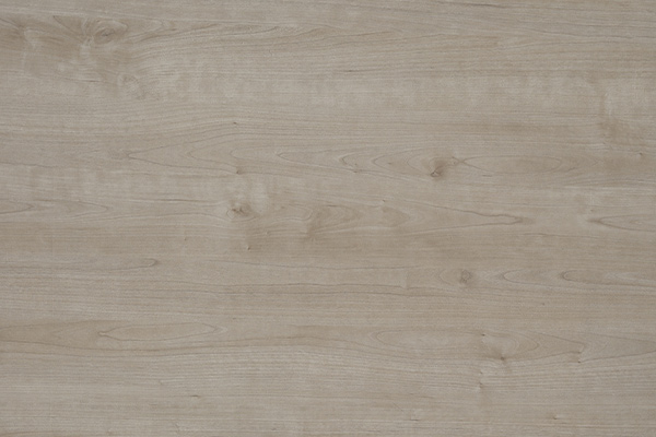 ѡ���߹����Ҫ��ע���ĵ�