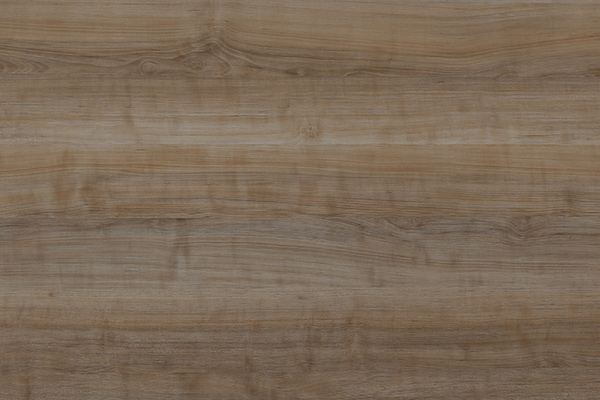 �߹���ŵ�ע������