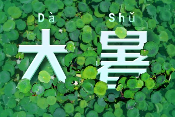 ������������������޹�˾ | ������,������